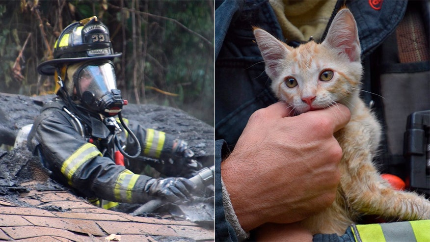 Video shows firefighters rescuing kitten from Indiana house fire | Fox News