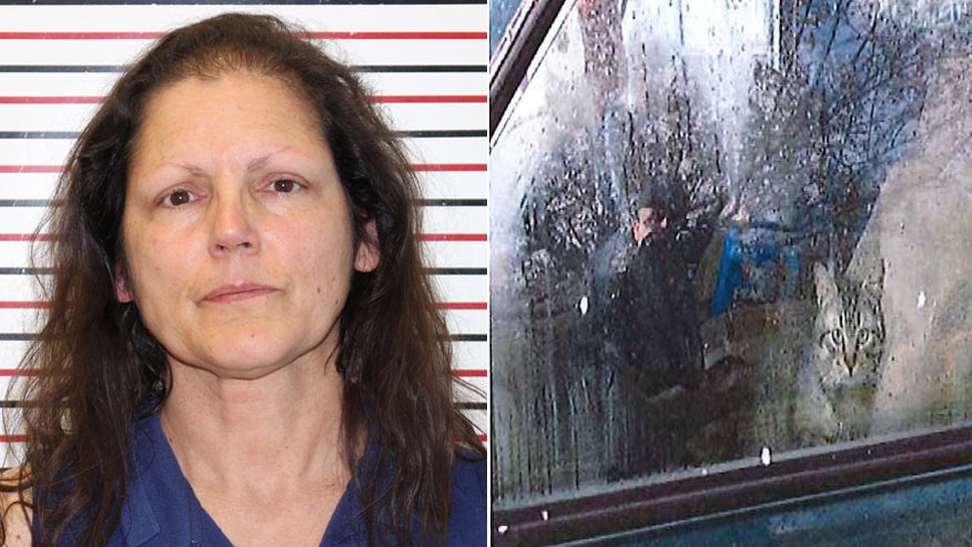 Woman wanted for animal abuse charges found with 42 cats in her car ...