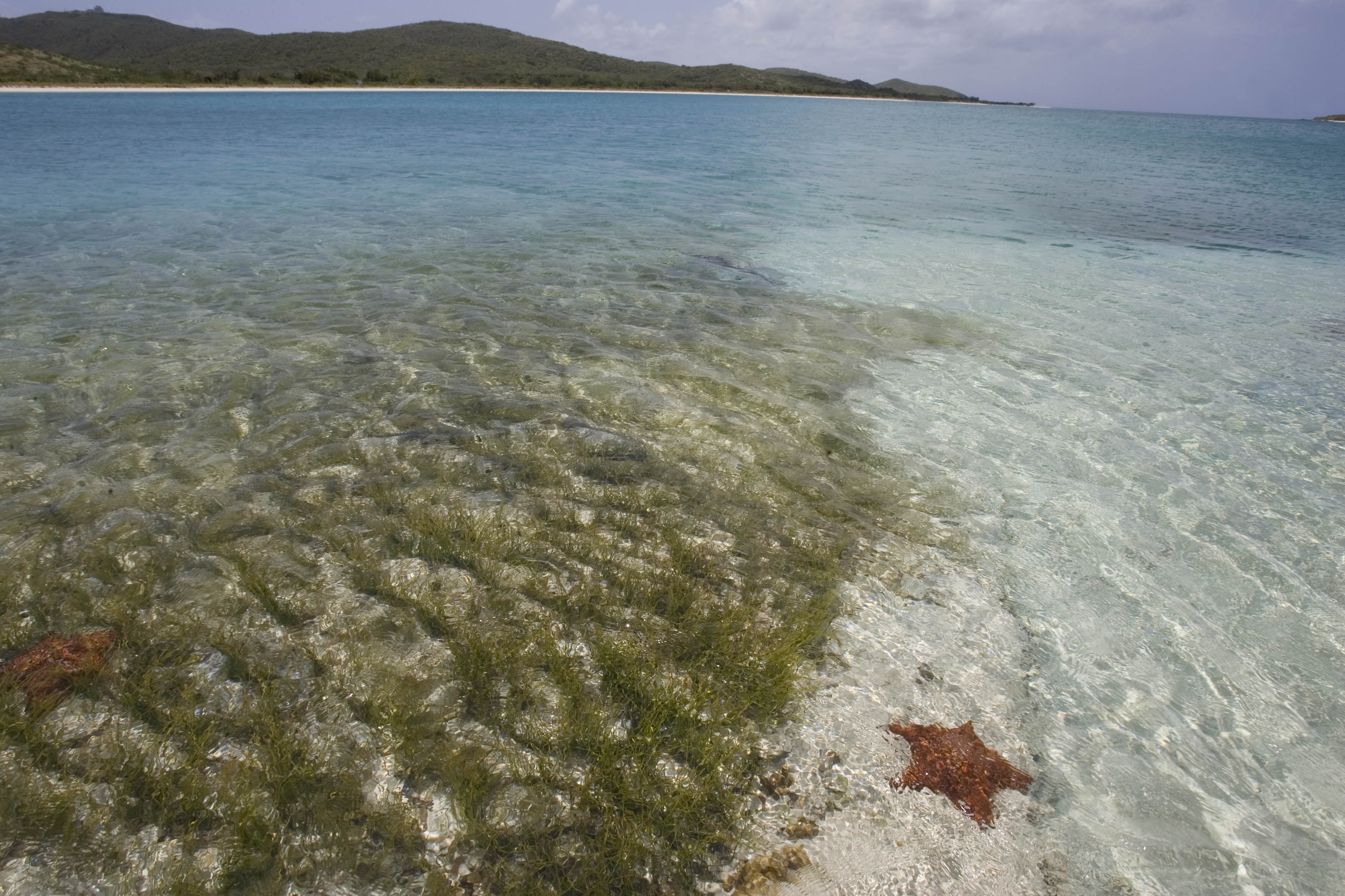 Vieques merenungkan masa depannya ketika ribuan orang memperingati keberangkatan Angkatan Laut AS