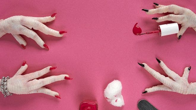 Surreal images show animal hands doing human things