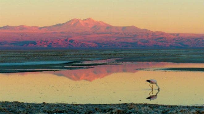 Star gazing adventure in Chile’s Atacama Desert