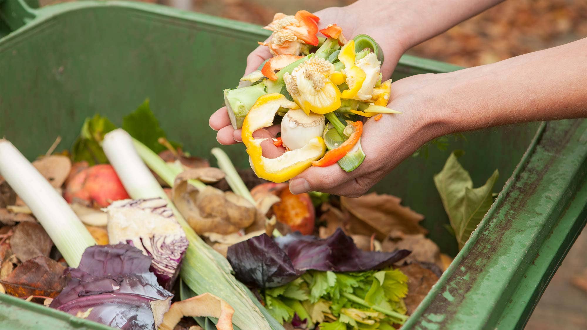 Proyecto Elaboracion De Compost Con Residuos Organicos