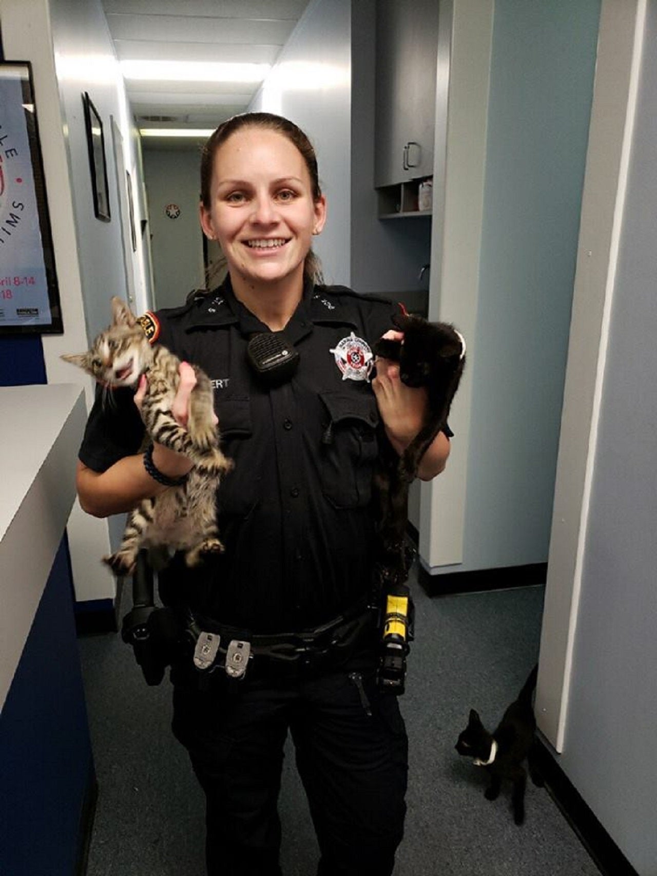 Texas deputy finds 'starving' kittens in gym bag | Fox News