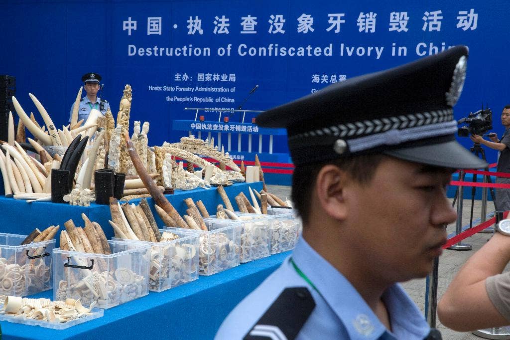 China authorities destroy more than 660 tons of smuggled ivory in ...