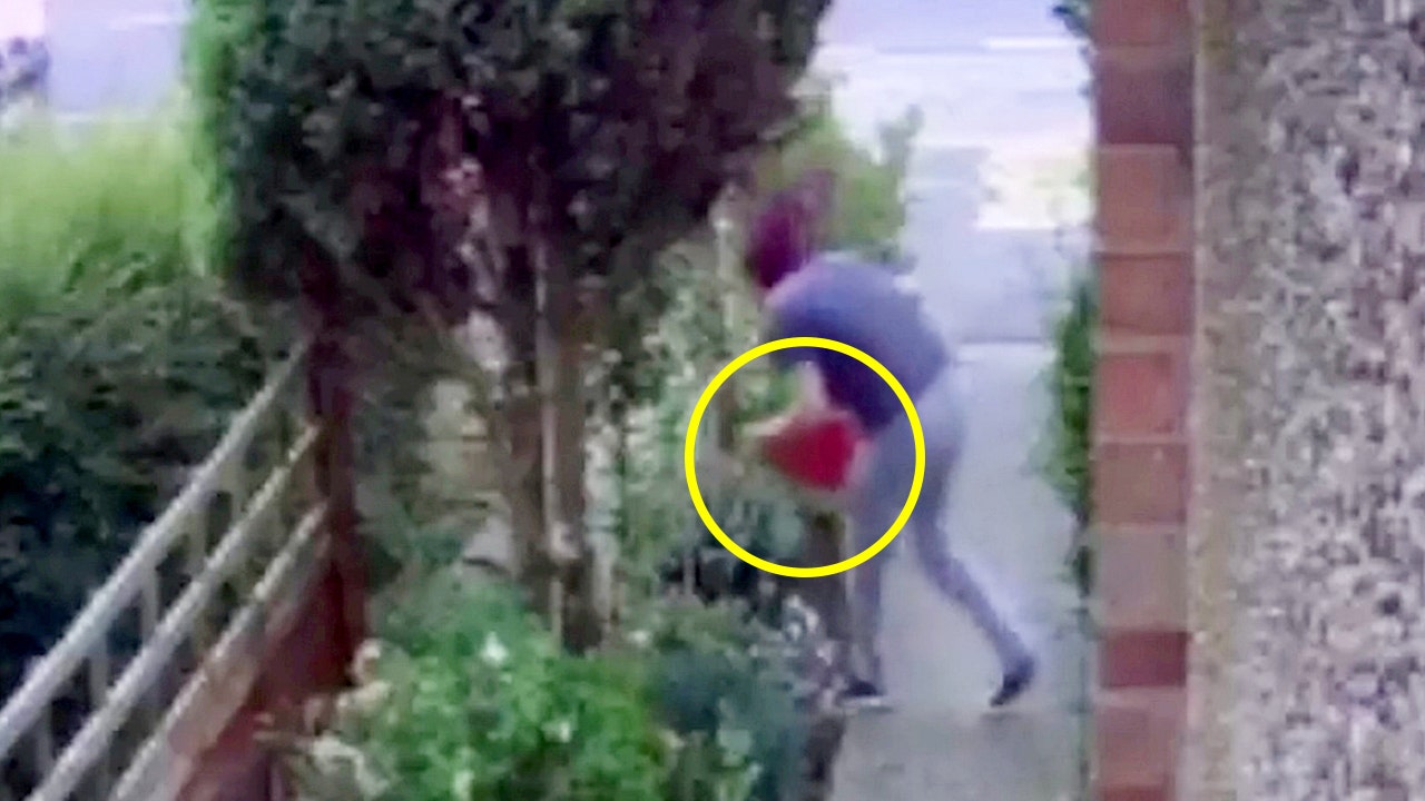 Thief caught on camera face-planting while trying to steal garden gnome ...