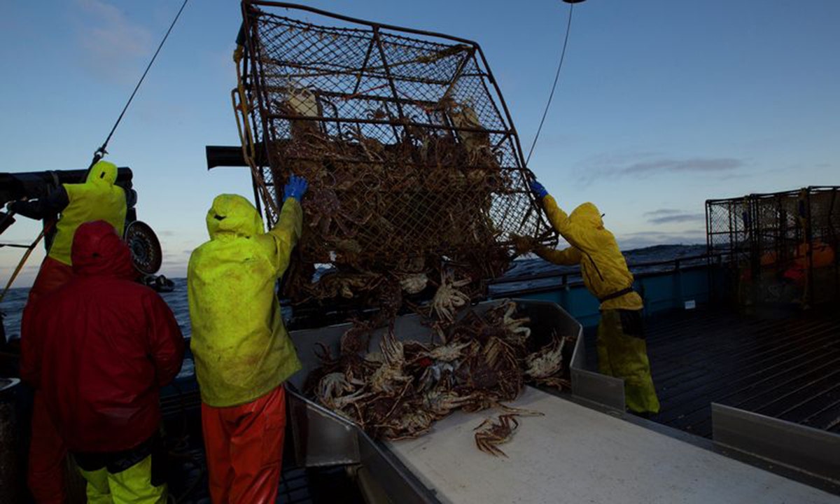 'Deadliest Catch' Season 14, Episode 8 recap The young captains take