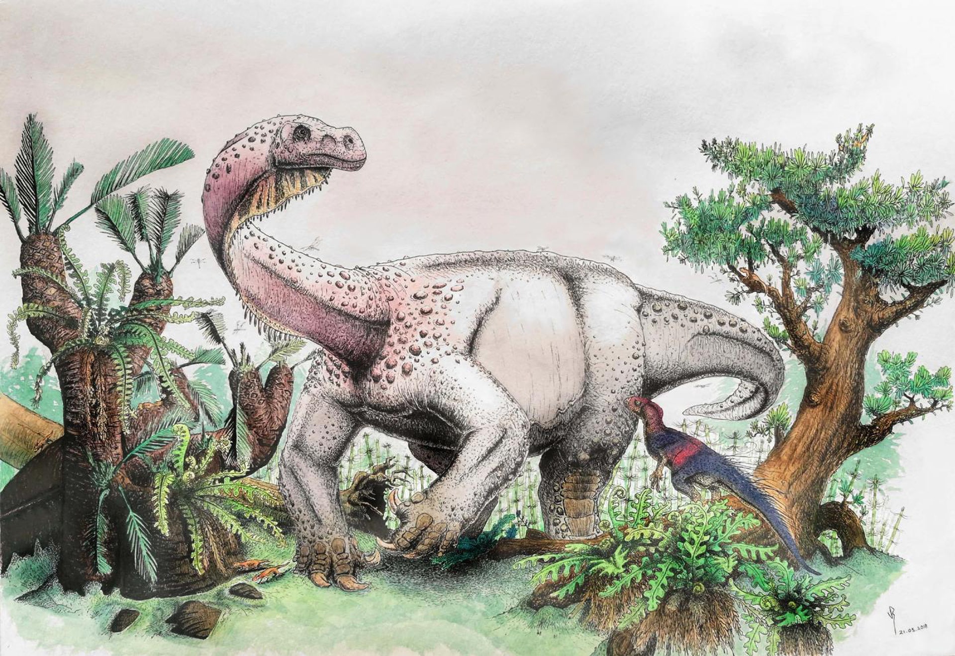 Amazing giant dinosaur discovery New dino species identified Fox News