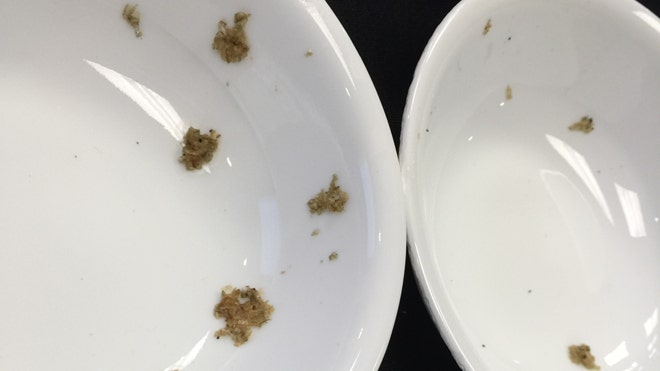 Appliance industry warns federal dishwasher regs would lead to dirty dishes