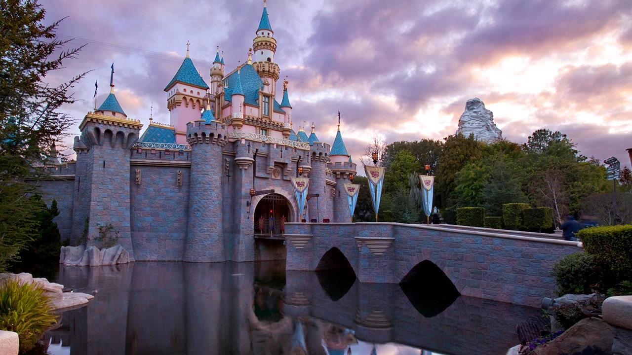 Couple Opens Up About Viral Double Proposal At Disneyland: 'It Was perfect