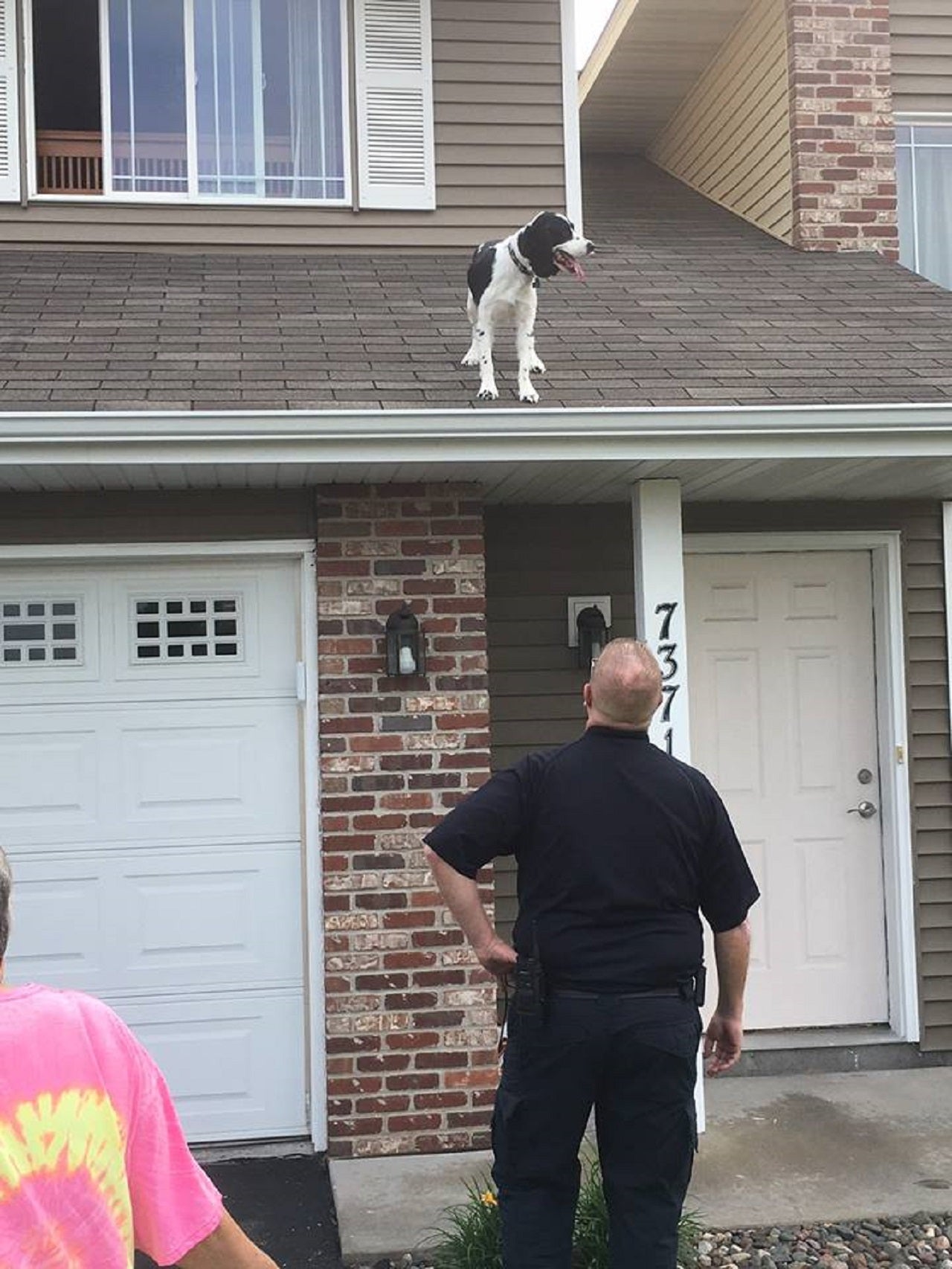 Dog stuck on roof of Minnesota home is brought inside to safety Fox News