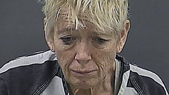 Florida woman accused of drowning puppy in airport toilet | Fox News