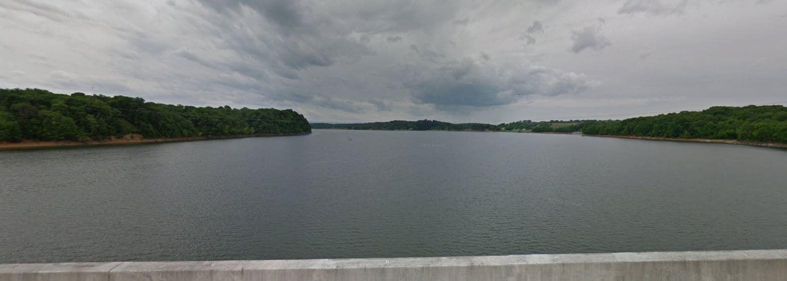 Tennessee girl, 11, finds 475-million-year-old trilobite fossil