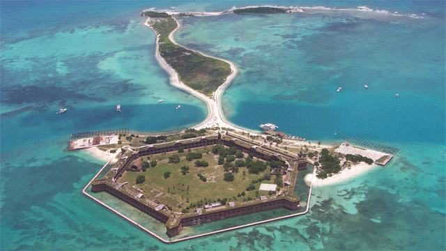 drytortuga