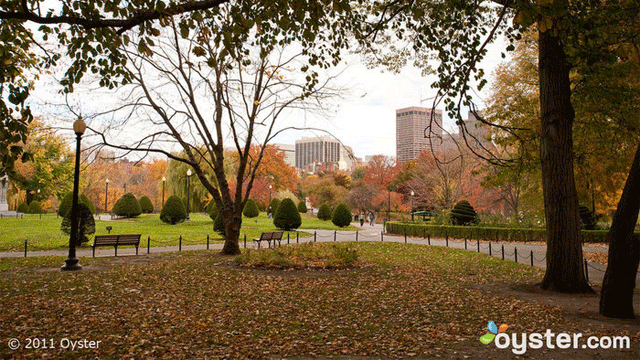 Top 13 Fall Scenic Views: Where To Stay To See Fall Colors 