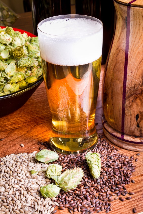 Are IPAs giving you man boobs? How do phytoestrogens in hops affect humans?