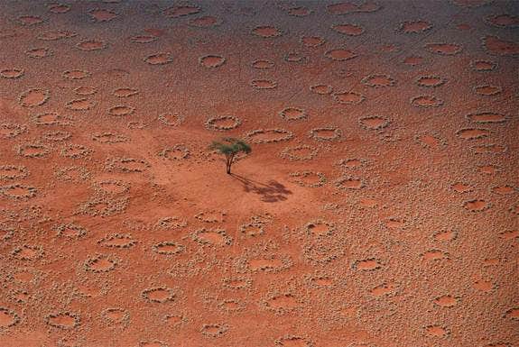 New explanation for mysterious 'fairy circles' in African desert