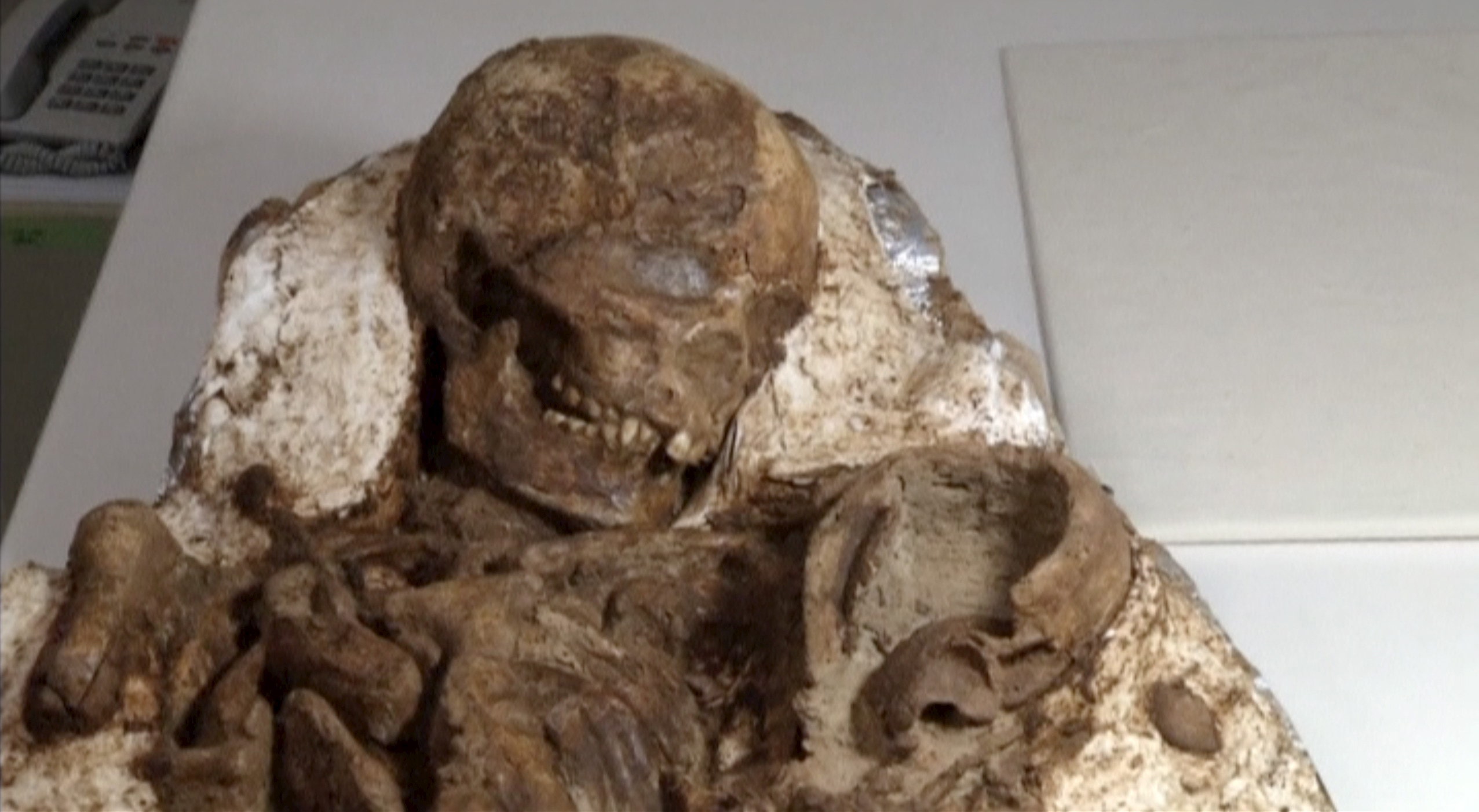 Archaeologists discover 4,800-year-old fossil of mother cradling a baby |  Fox News