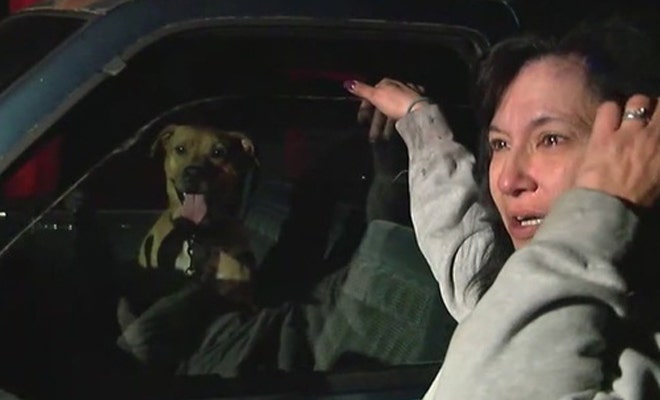 North Carolina woman says dog saved family from mobile home fire | Fox News