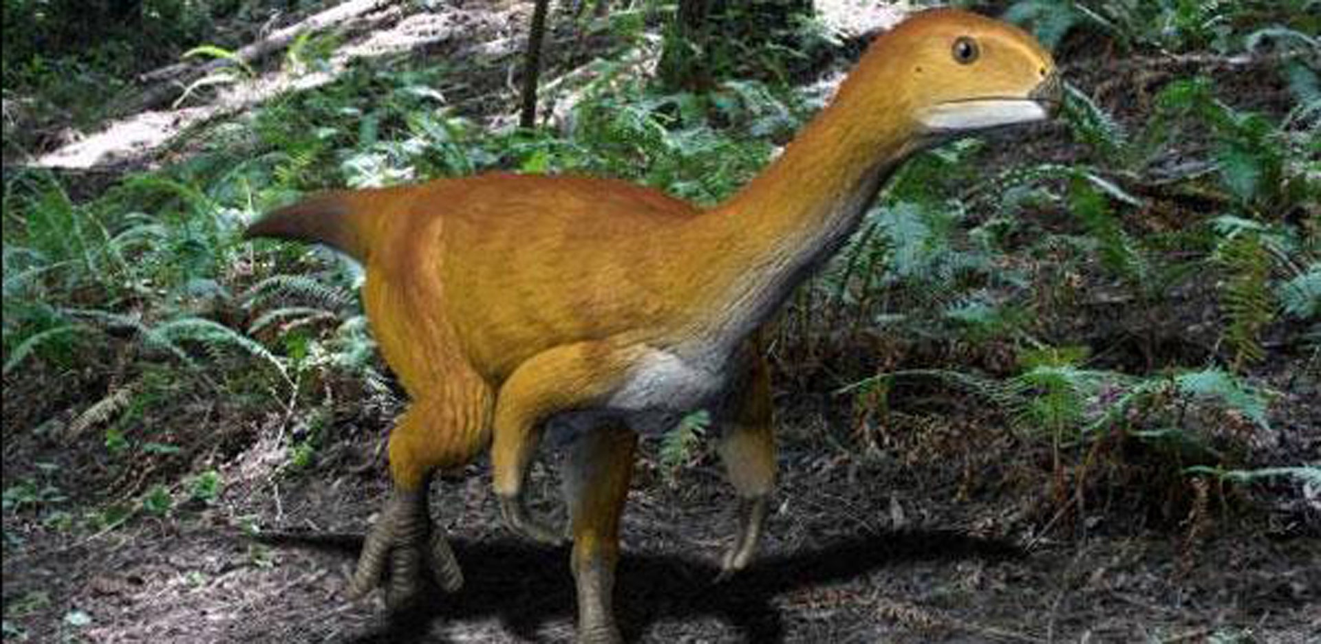 Link foto dinosaurus