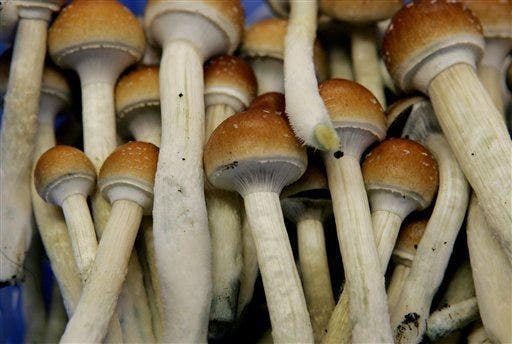 California bill would decriminalize psychedelic drugs like acid and magic mushrooms