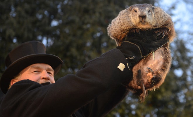 Groundhog Day festivities and a look at Punxsutawney Phil's accuracy ...