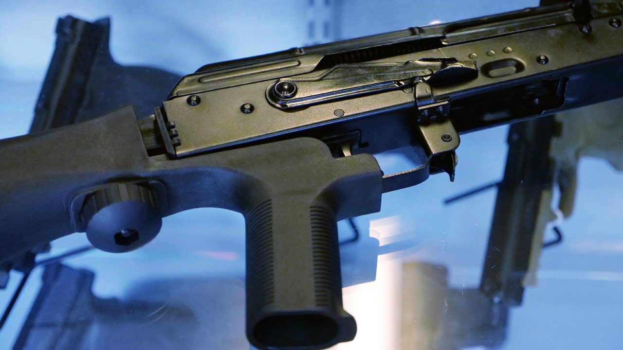 Democrats' public gun registry bill blasted as 'frightening,' ‘anti-police’