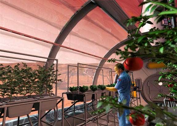 Petani di Mars?  NASA mempertimbangkan pasokan makanan untuk misi 2030