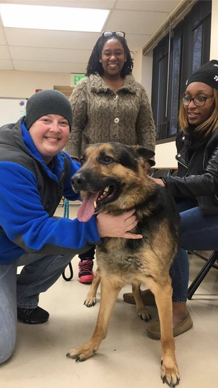Dog missing for 3 years reunites with owner via traffic stop | Fox News