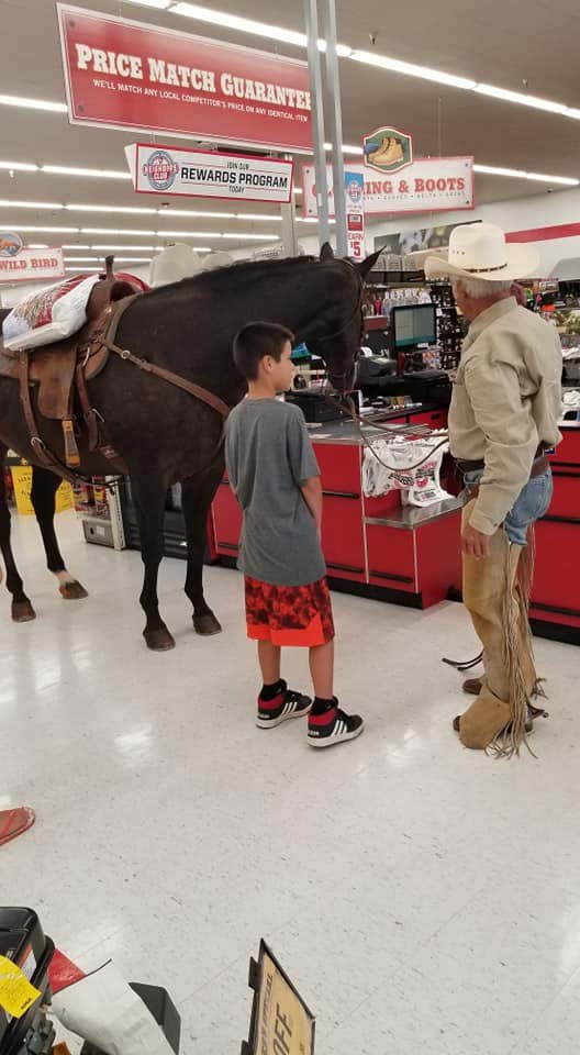 Oklahoma man brings horse into feed and tack store, goes viral Fox News