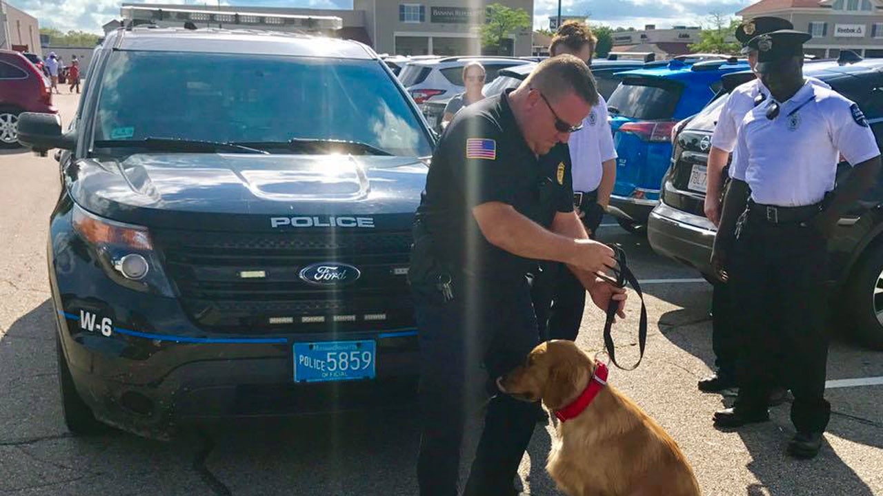 Massachusetts police rescue dog left in hot car at outlet mall | Fox News