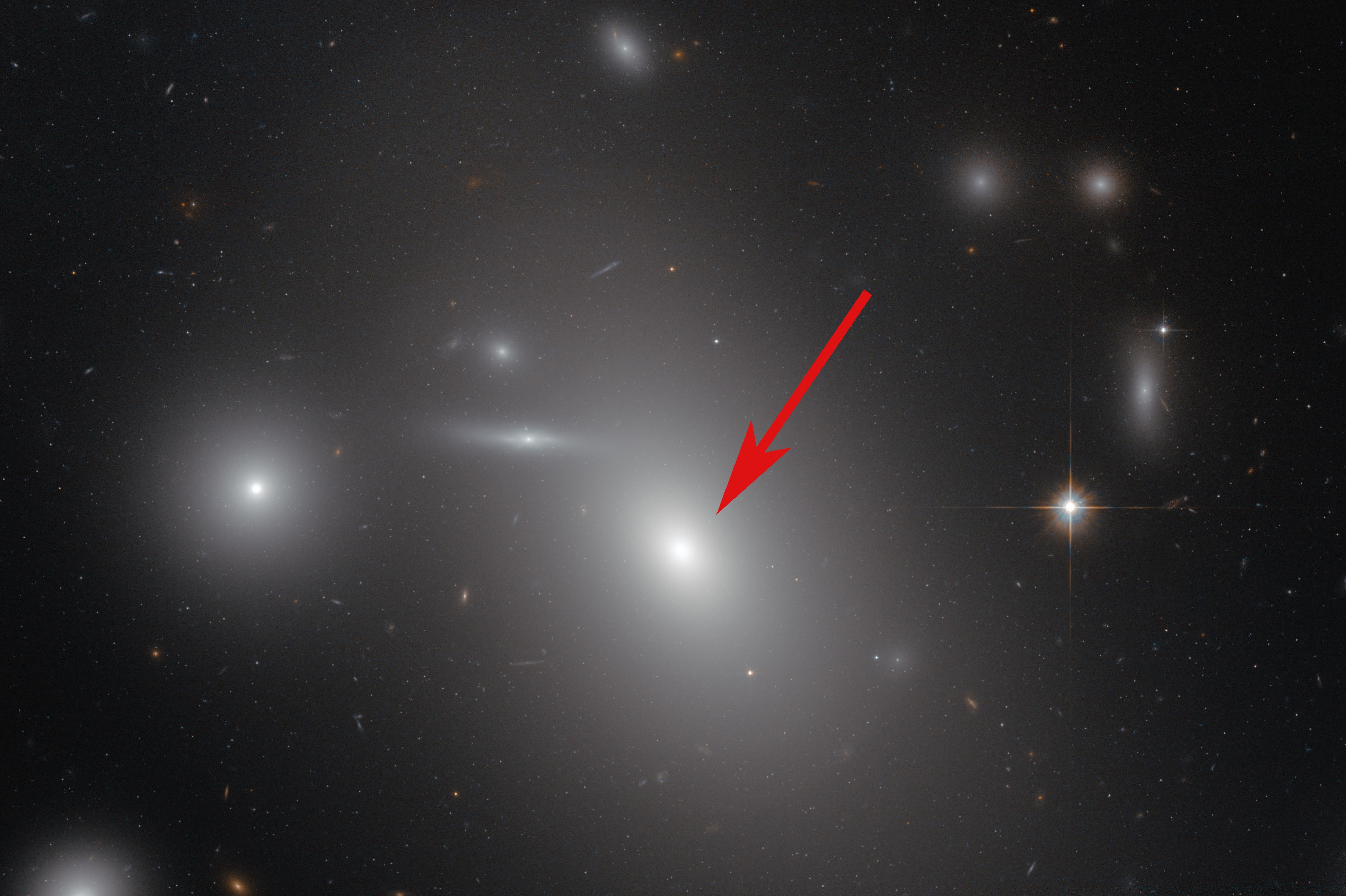 4 5 световых года. NGC 4889 Галактика. NGC 4889 черная дыра. Ic 1101 черная дыра. Звезда большого пса во сравнению ic 1101.