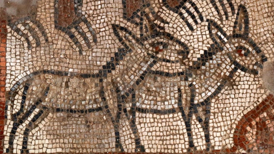 Rare mosaic depicting Noah's Ark discovered in ancient synagogue