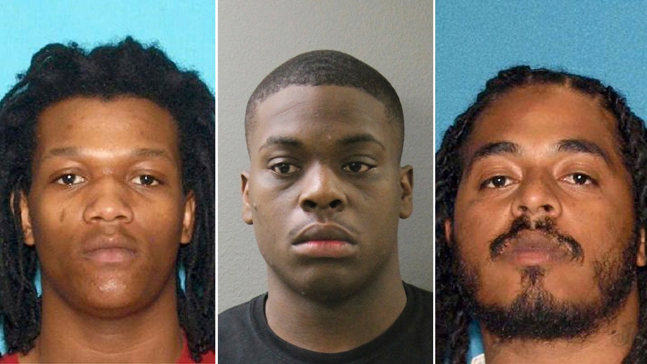 3 men charged in the death of 9-year-old girl who was killed by a stray ...