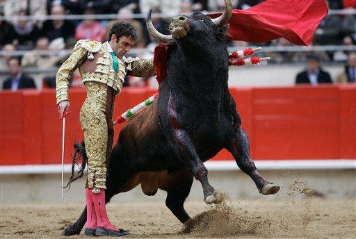 Michael Jordan of Bullfighting Returns