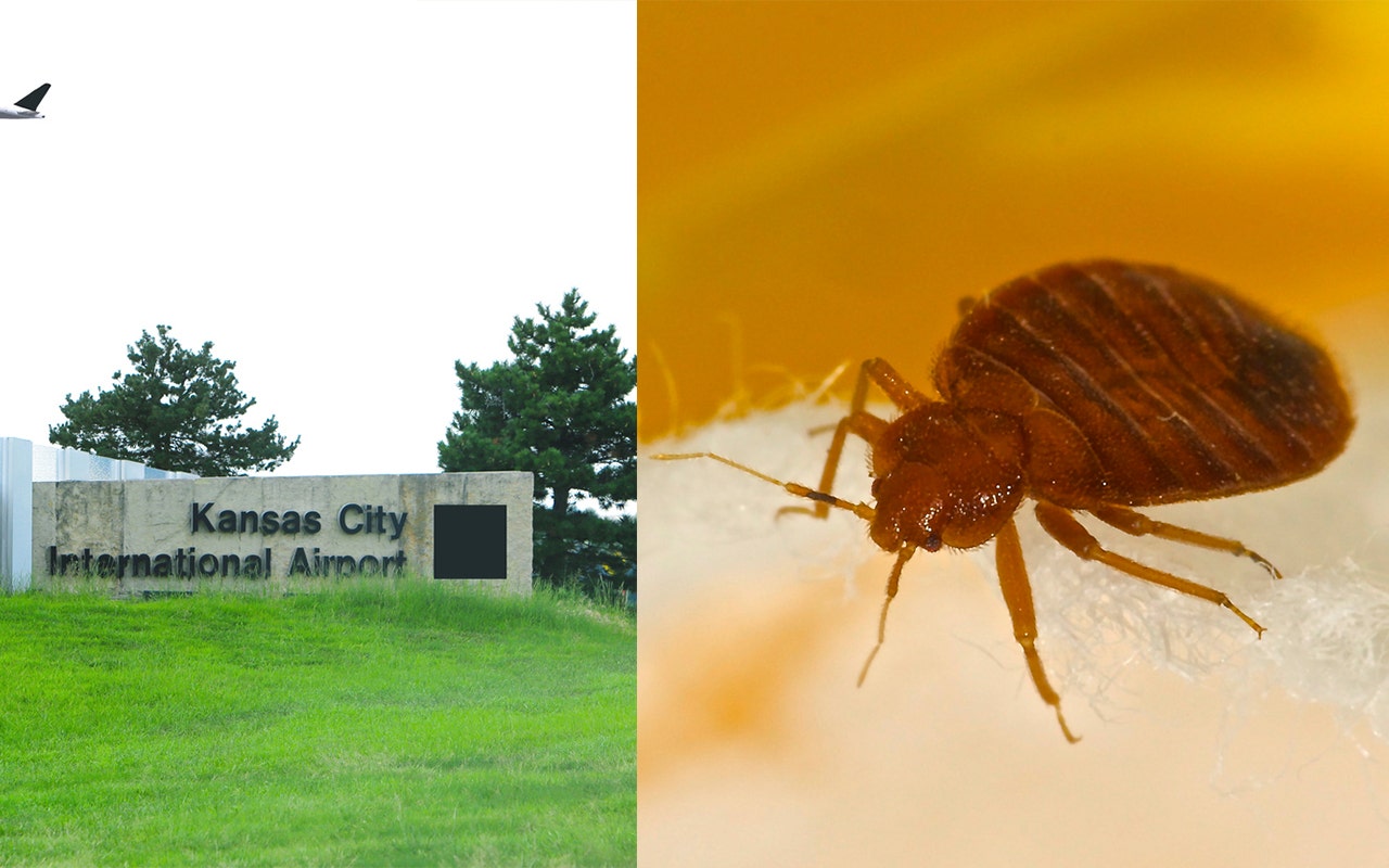 Bed bugs found in Kansas City International Airport sitting area Fox News