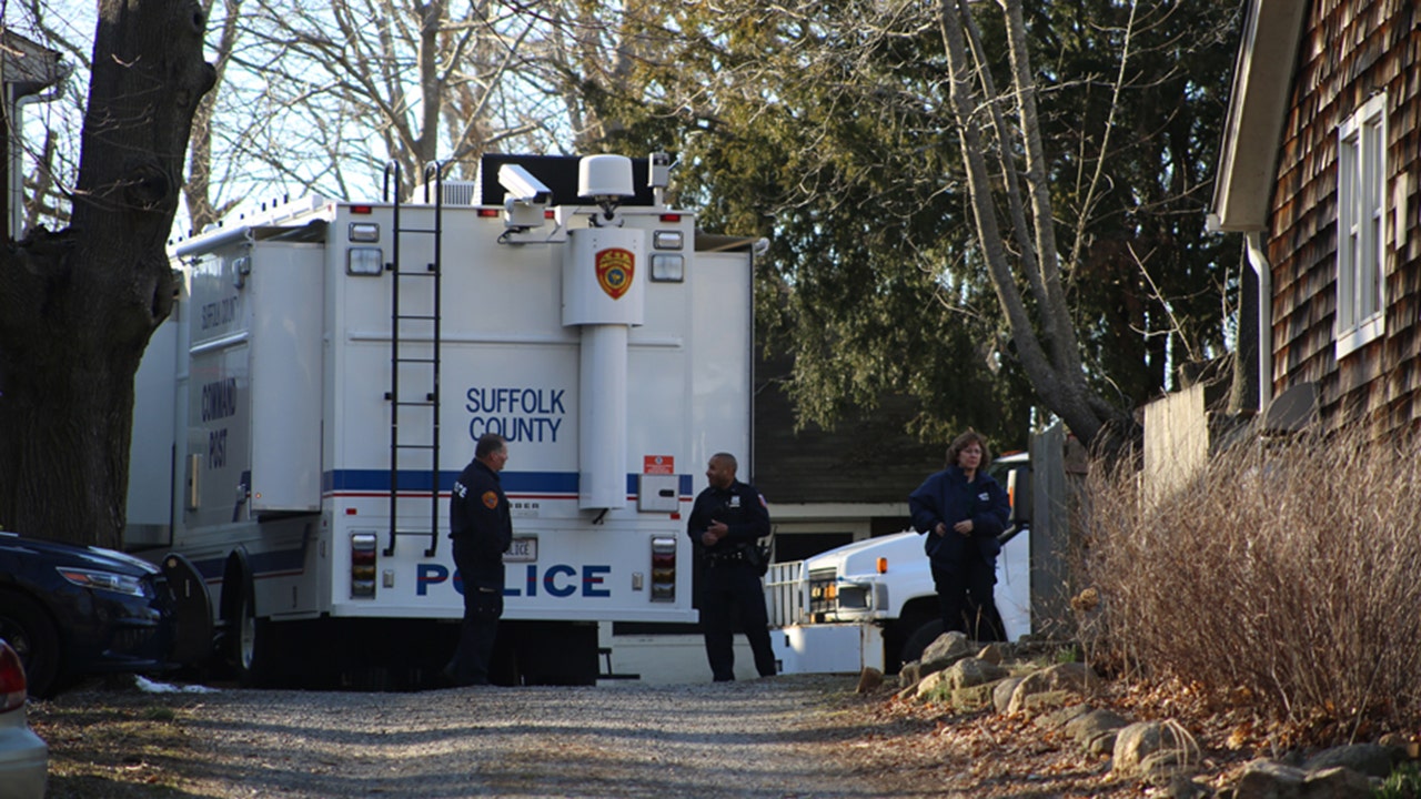 Skeletal remains on Long Island identified as Louise Pietrewicz