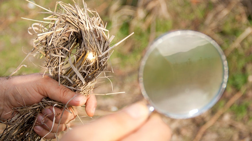 how-to-start-campfires-with-mirrors-and-magnifying-lenses-fox-news