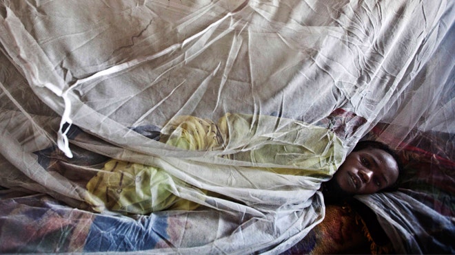 Fewer bed nets given out in fight against malaria, WHO says | Fox News