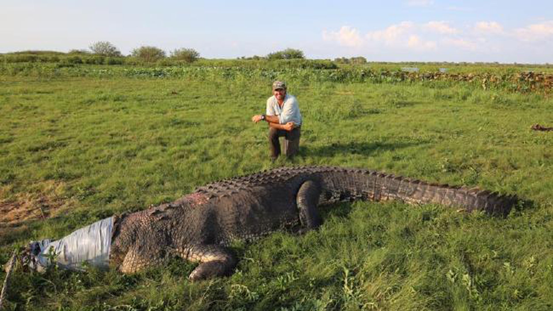 paraply Vær stille Formode Monster croc the size of an SUV caught in Australia | Fox News