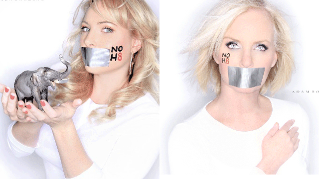 McCain Women At Odds With Senator