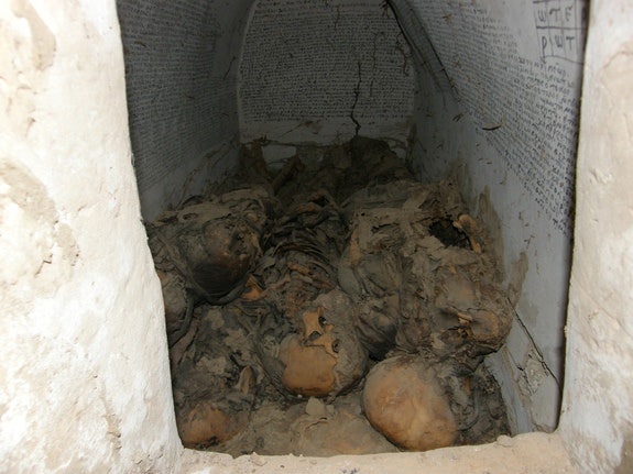 Magical medieval crypt holds 7 male mummies