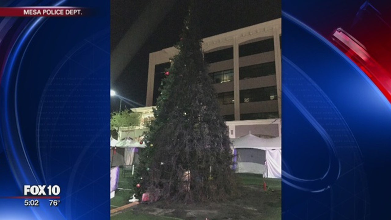 Arizona man accused of burning down 40,000 Christmas tree Fox News
