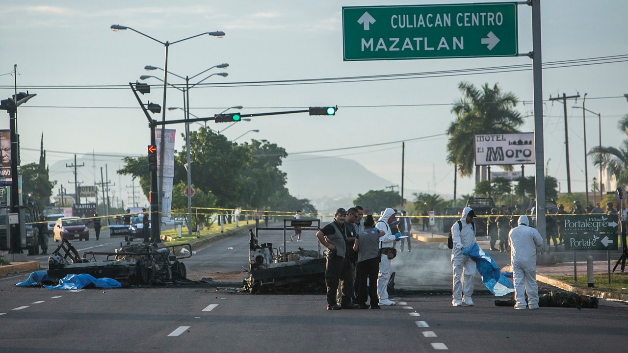 Sons of drug lord 'El Chapo' thought to be behind deadly ambush on Mexican troops