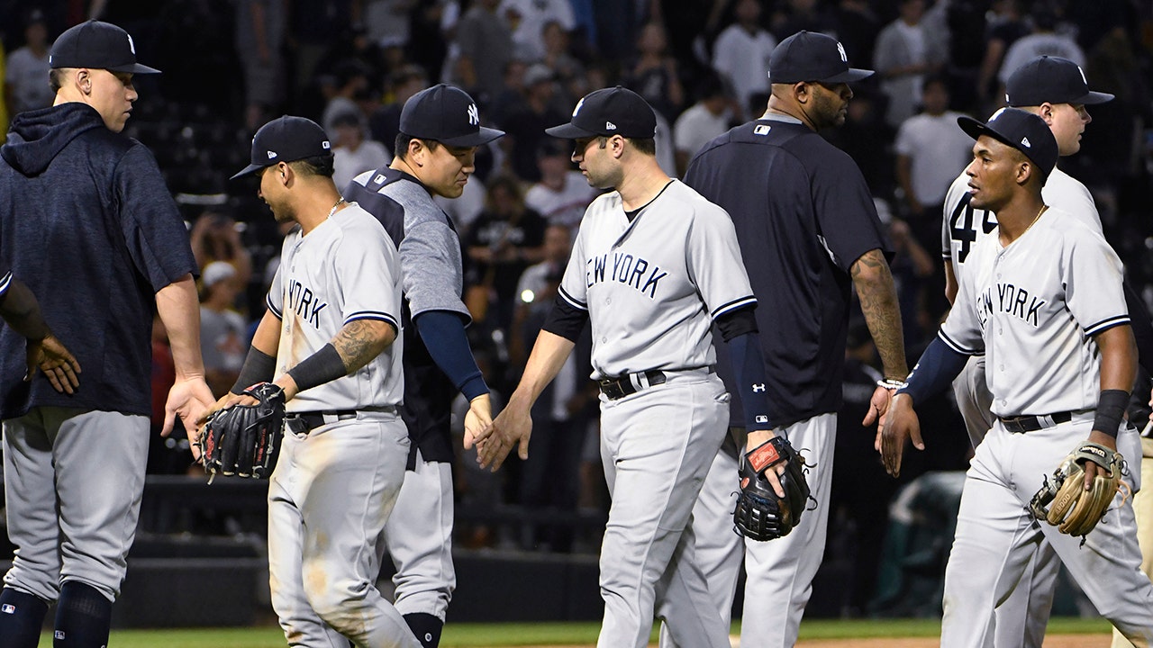 Umpire stops Yankees-White Sox game to remove insect from his ear | Fox ...