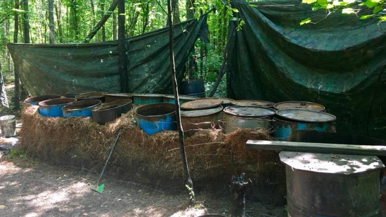 Illegal moonshine operation discovered in Alabama woods Fox News