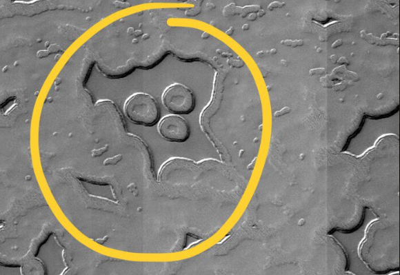 Muppet on Mars? NASA image from the Red Planet sparks comparisons to ...