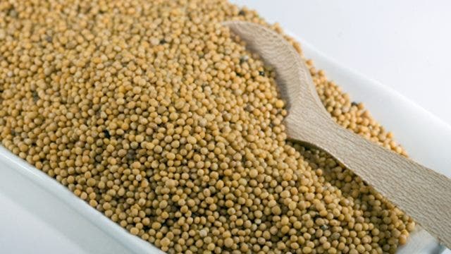 Minyak atsiri? Kontroversi minyak mustard