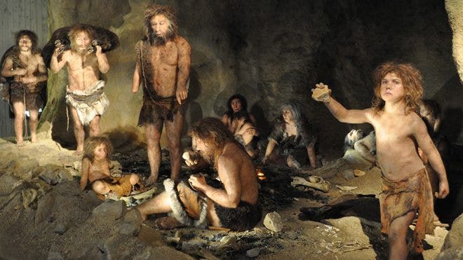 Researchers Publish Full Neanderthal Genome Fox News