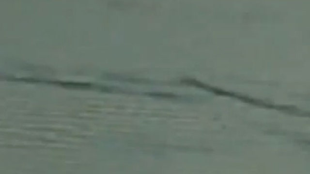 Canada's Loch Ness Monster Captured on Video? | Fox News