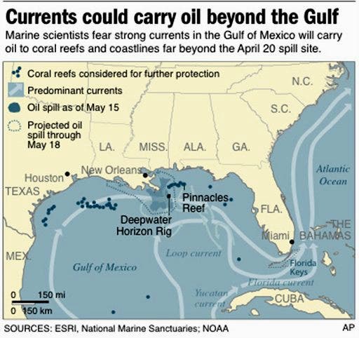 Oil Plumes, Dispersants Endangering Coral Reefs | Fox News